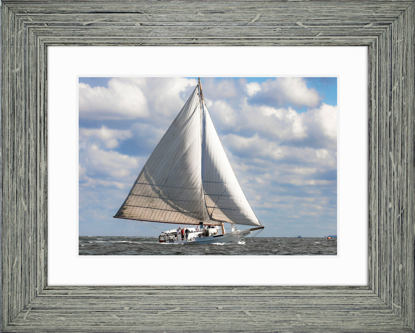 2025 Deal Island Skipjack Races - The Ruark