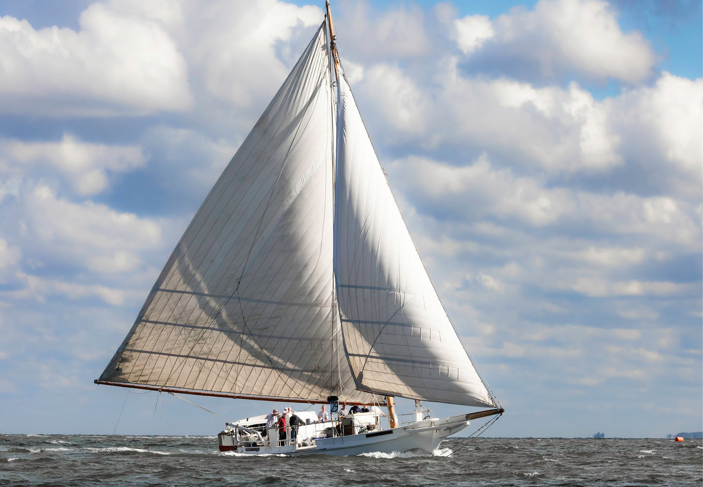 2025 Deal Island Skipjack Races - The Ruark