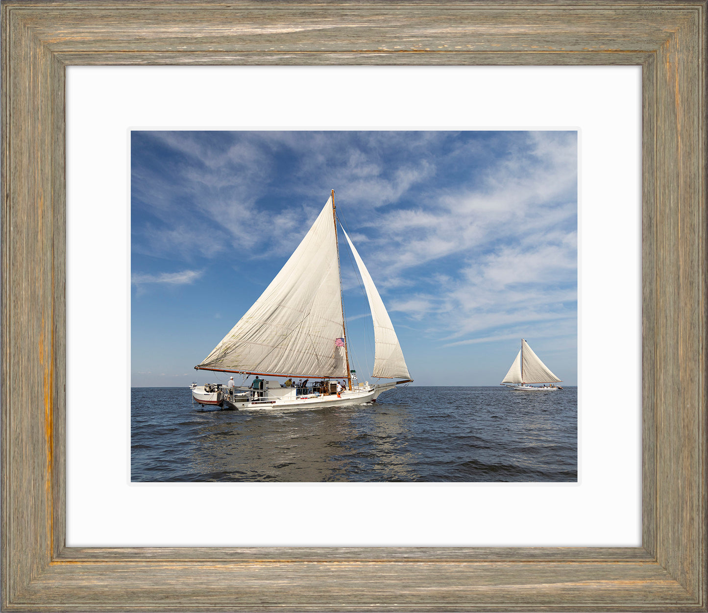 2025 Sandy Point Skipjack Races - Ruark and Rosie