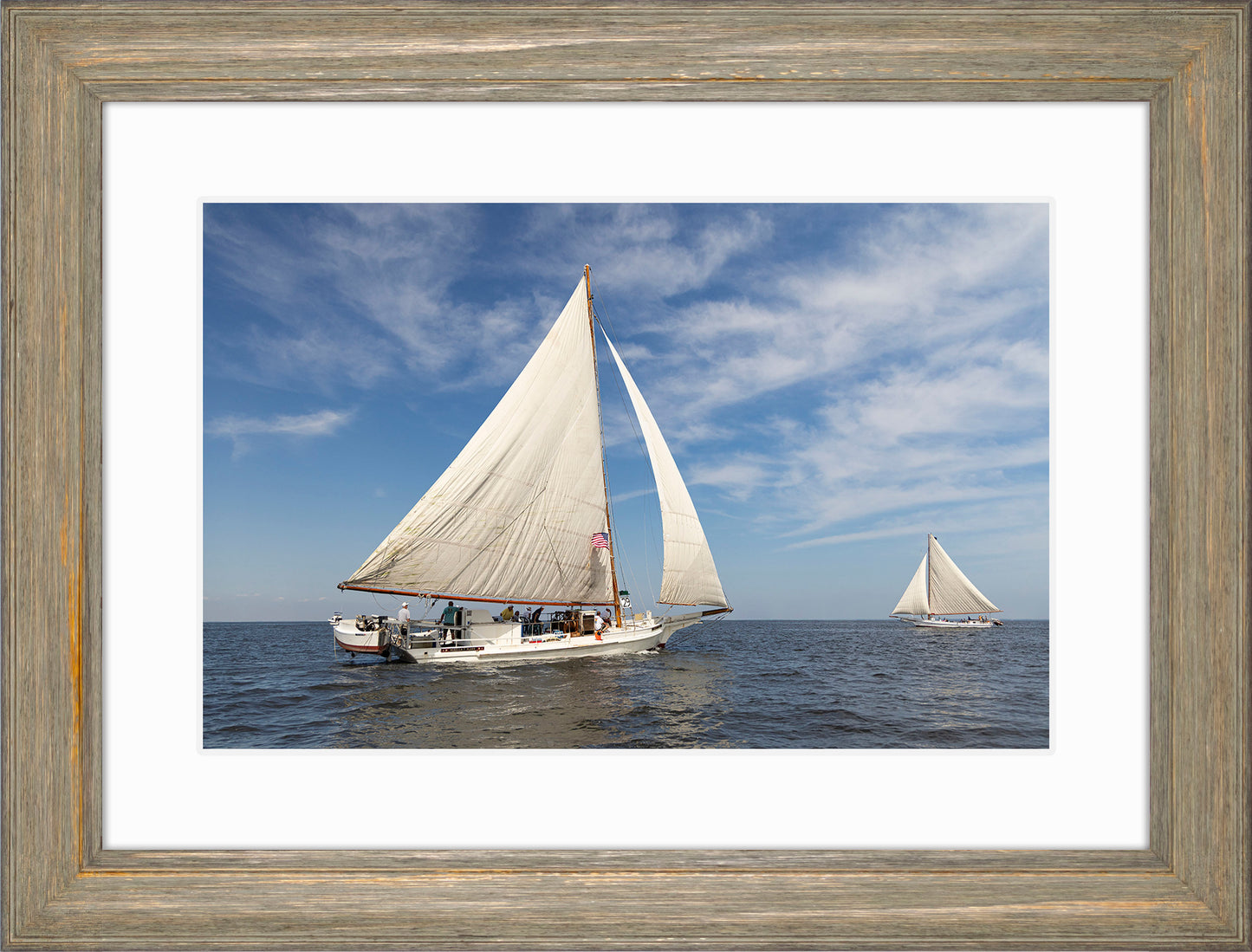 2025 Sandy Point Skipjack Races - Ruark and Rosie