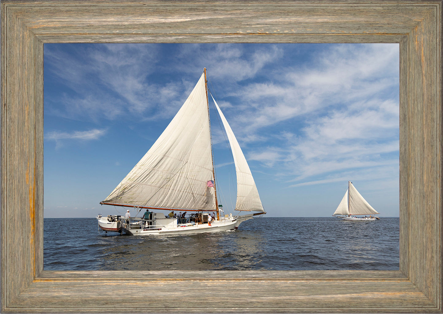 2025 Sandy Point Skipjack Races - Ruark and Rosie