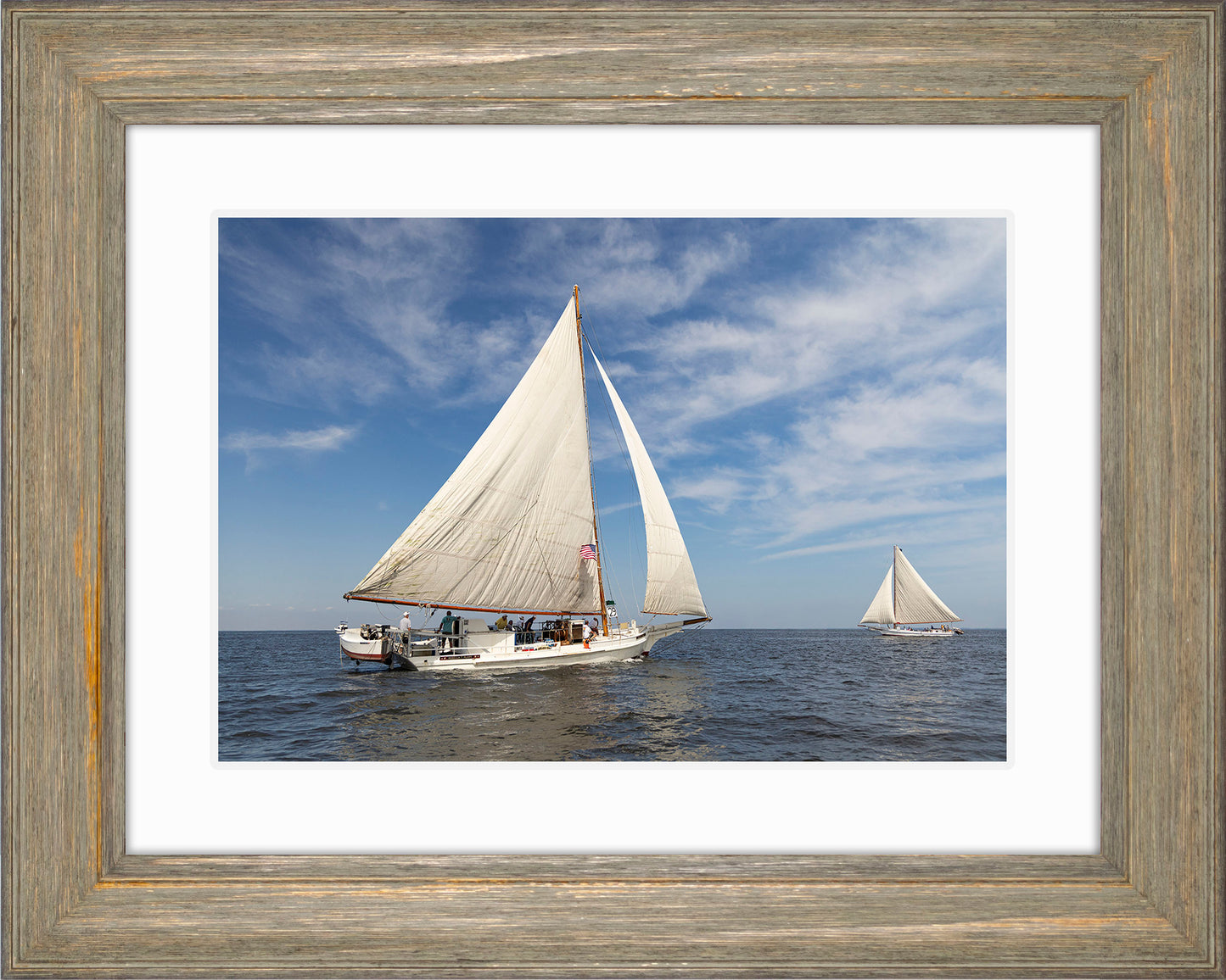 2025 Sandy Point Skipjack Races - Ruark and Rosie