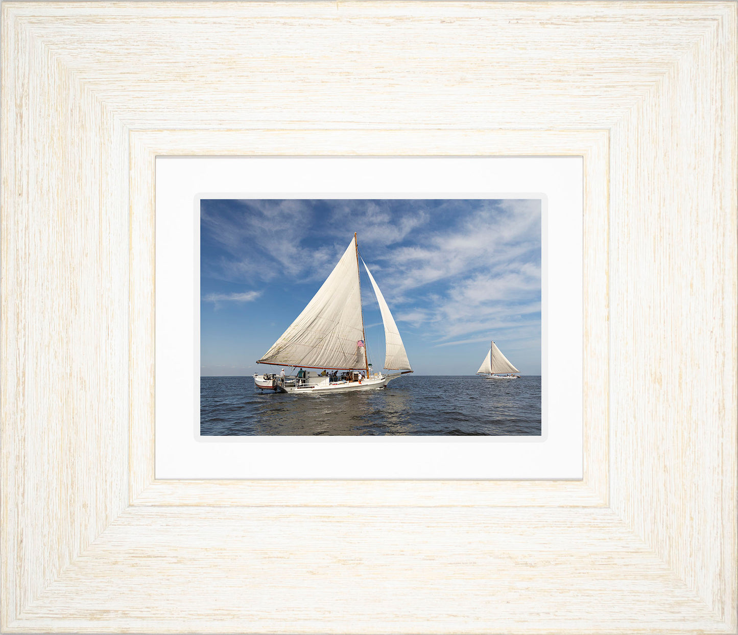 2025 Sandy Point Skipjack Races - Ruark and Rosie