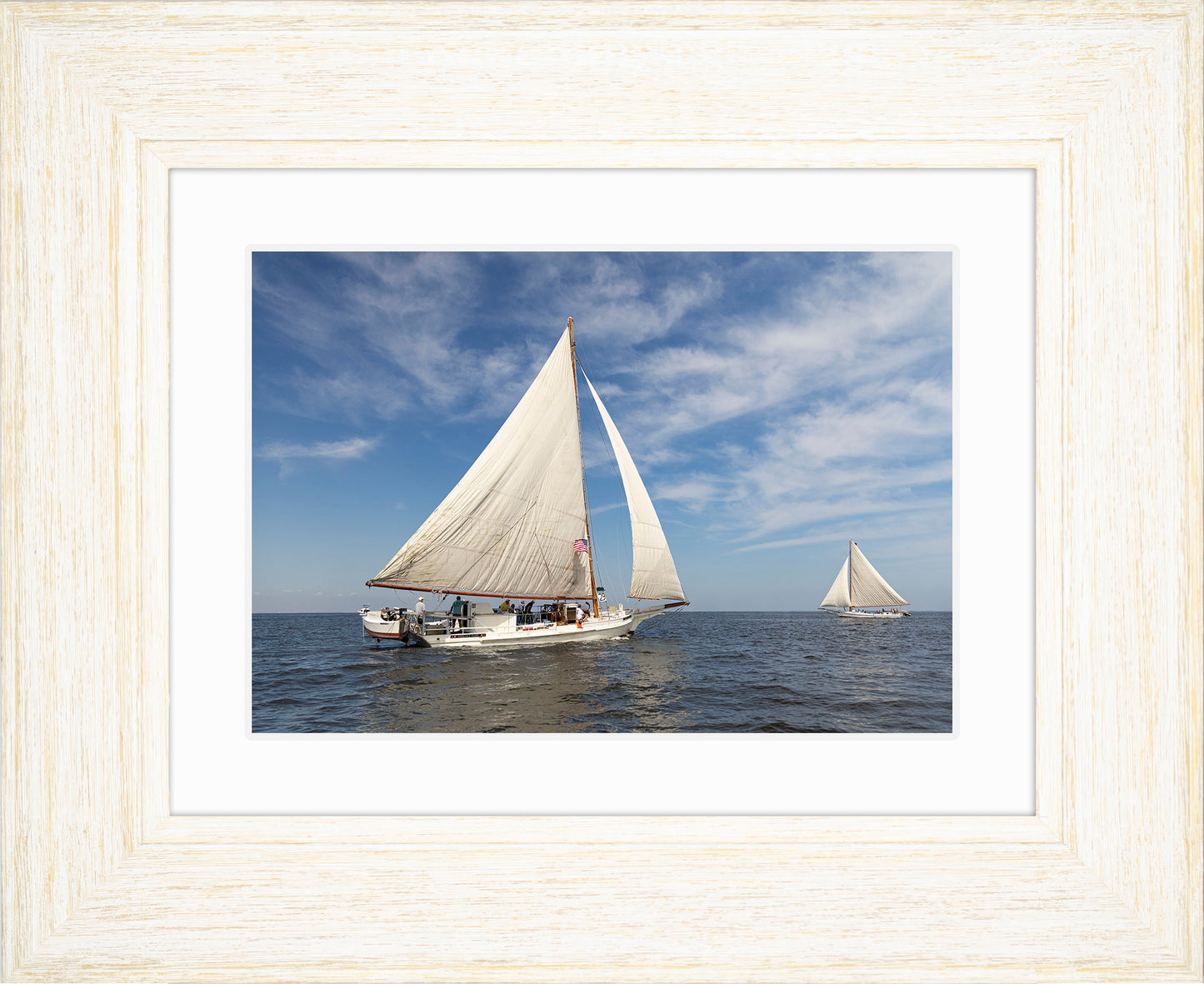 2025 Sandy Point Skipjack Races - Ruark and Rosie