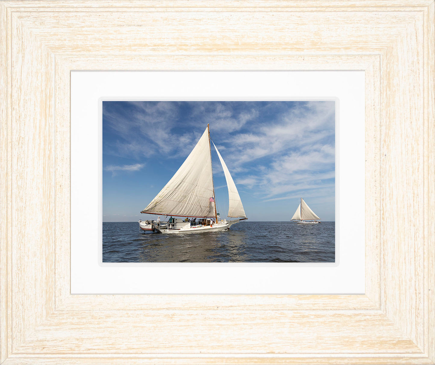 2025 Sandy Point Skipjack Races - Ruark and Rosie