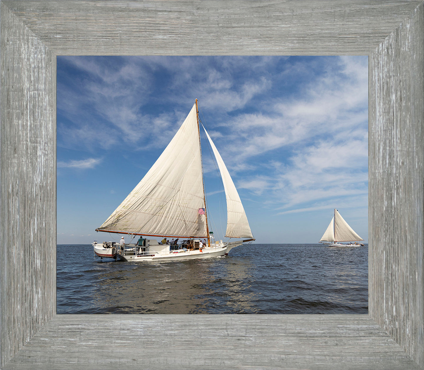 2025 Sandy Point Skipjack Races - Ruark and Rosie