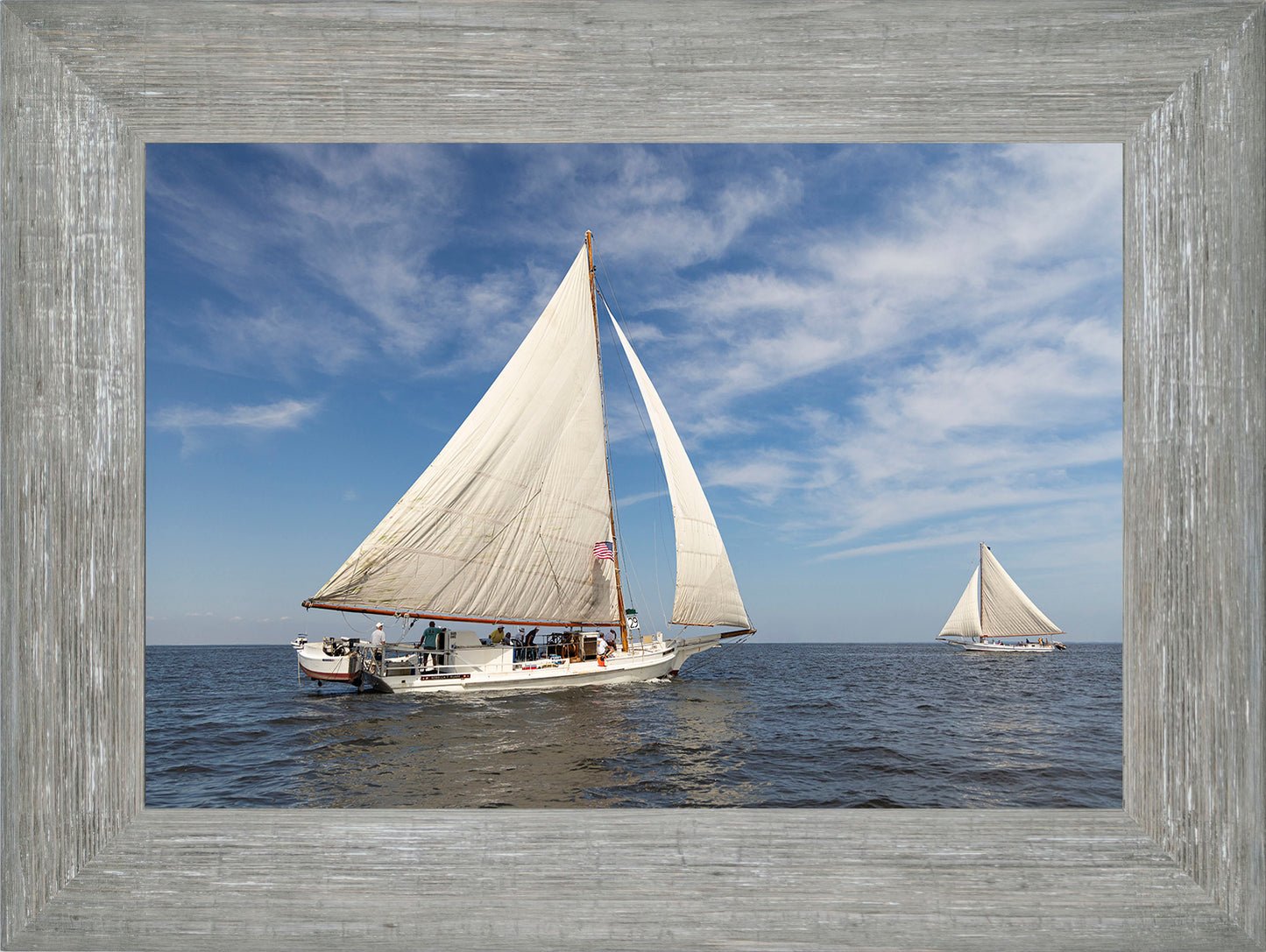 2025 Sandy Point Skipjack Races - Ruark and Rosie
