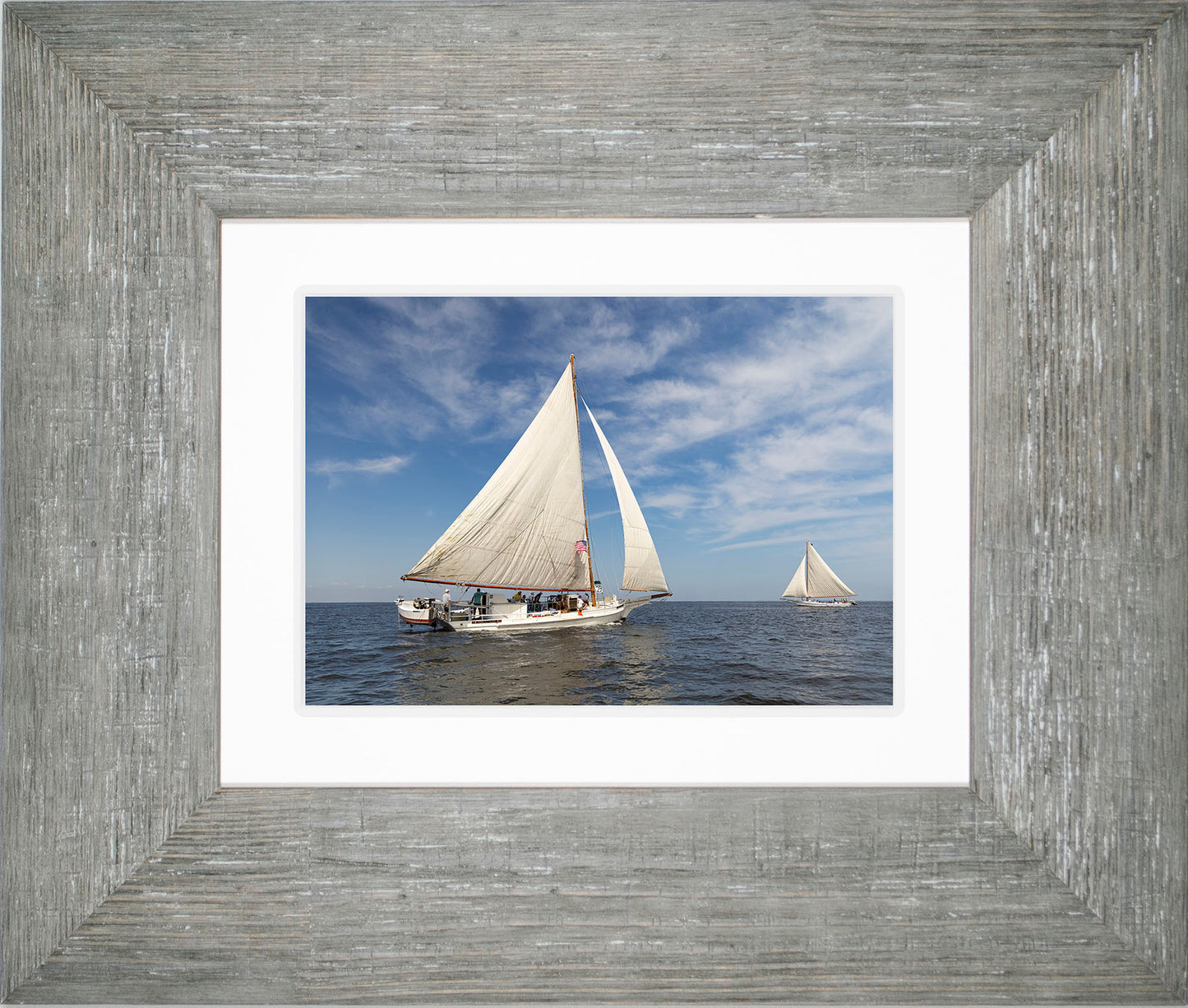 2025 Sandy Point Skipjack Races - Ruark and Rosie