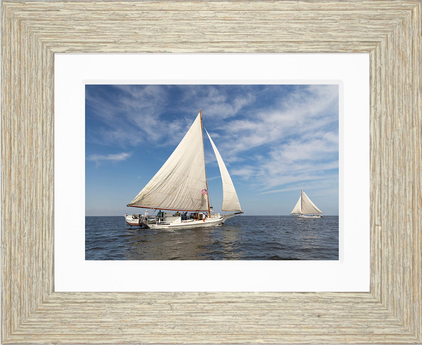 2025 Sandy Point Skipjack Races - Ruark and Rosie