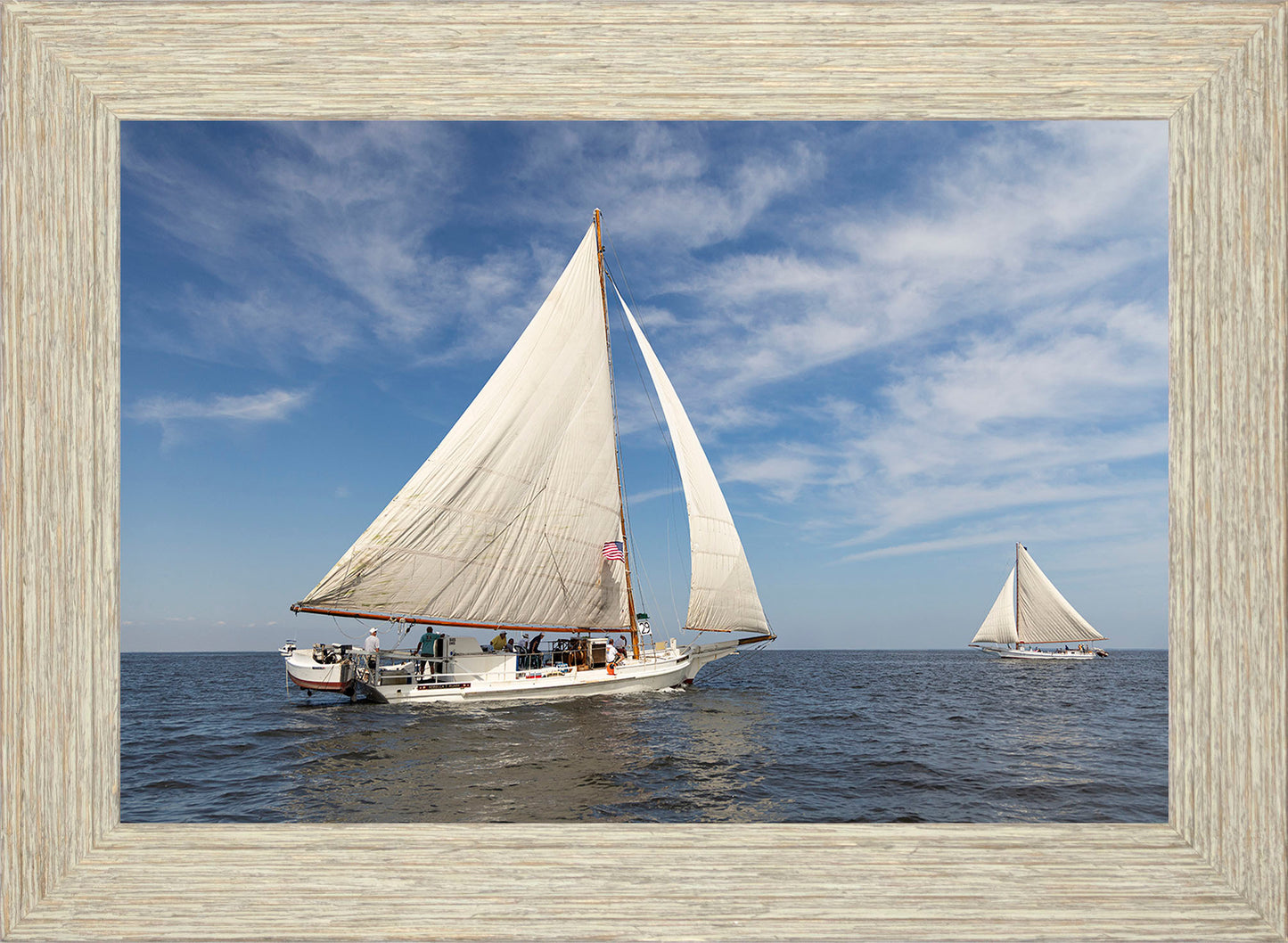 2025 Sandy Point Skipjack Races - Ruark and Rosie