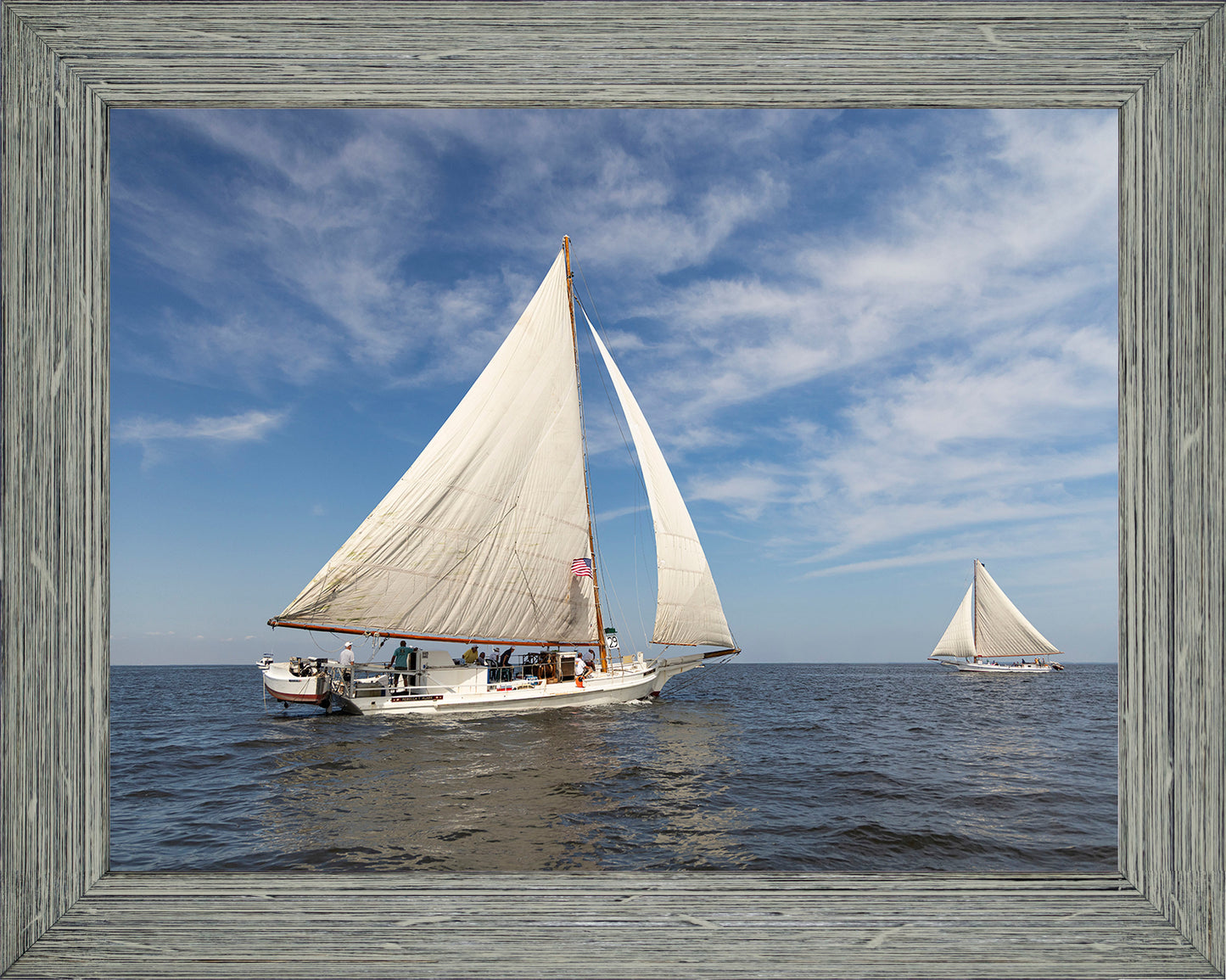 2025 Sandy Point Skipjack Races - Ruark and Rosie