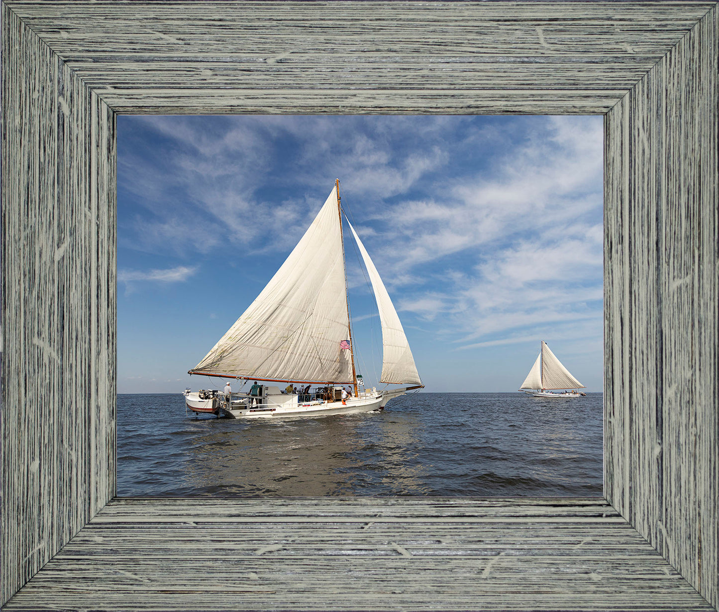 2025 Sandy Point Skipjack Races - Ruark and Rosie