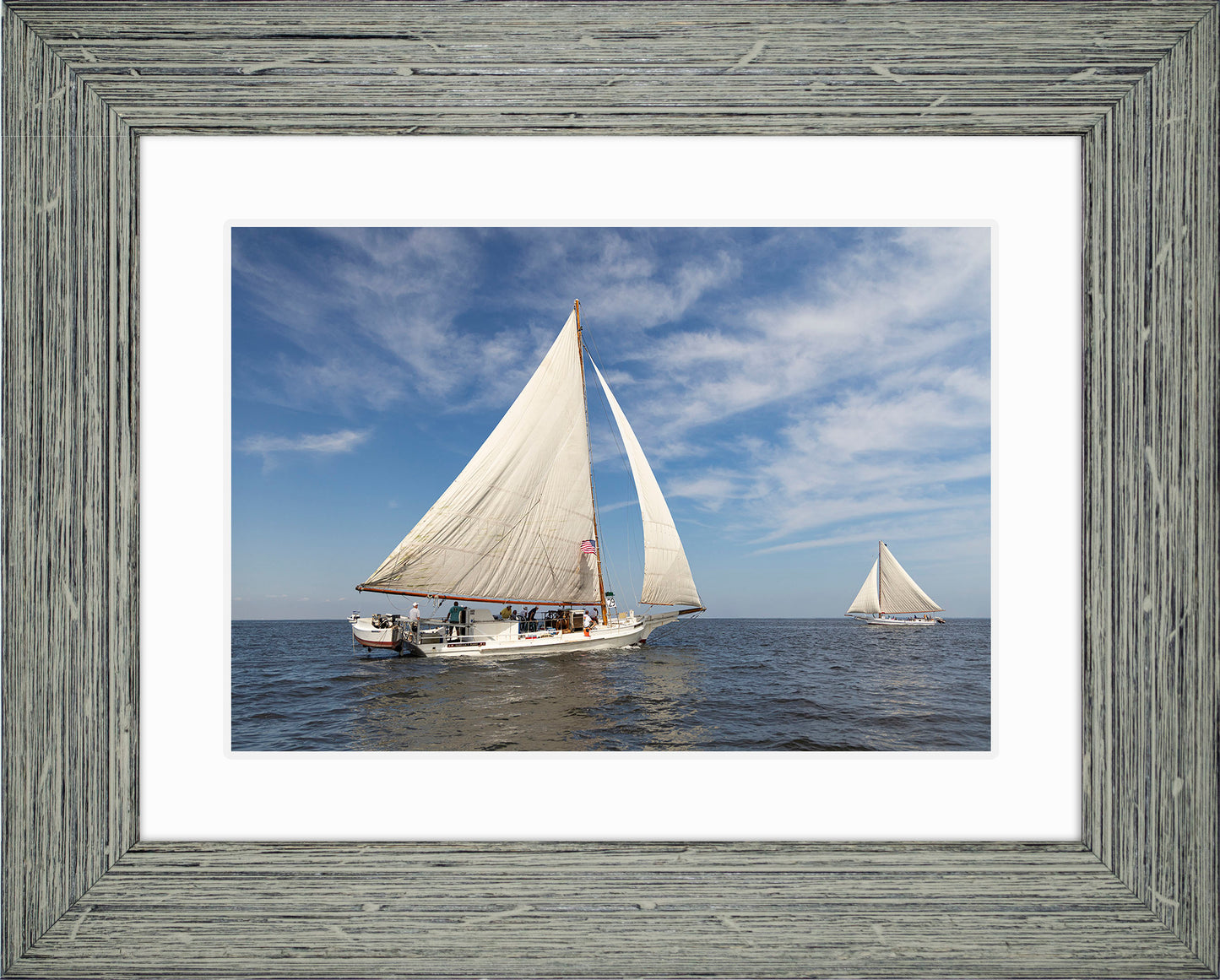 2025 Sandy Point Skipjack Races - Ruark and Rosie