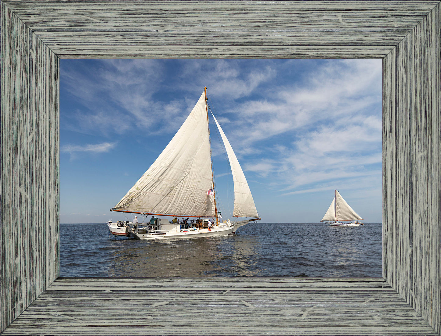 2025 Sandy Point Skipjack Races - Ruark and Rosie