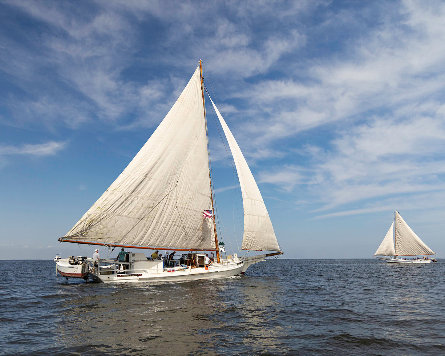 2025 Sandy Point Skipjack Races - Ruark and Rosie