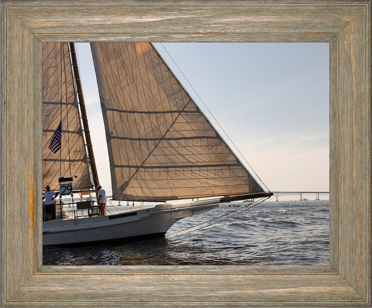 2025 Sandy Point Skipjack Races - The Ruark at the Bridge