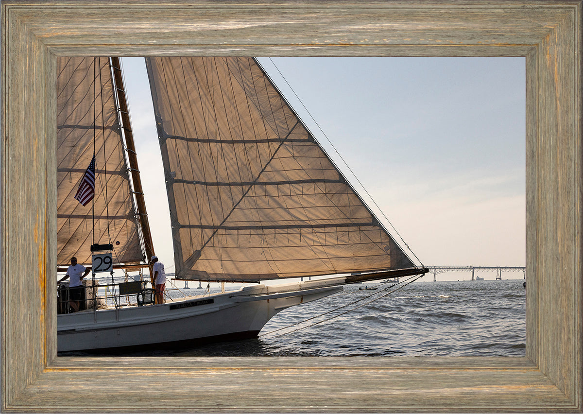 2025 Sandy Point Skipjack Races - The Ruark at the Bridge