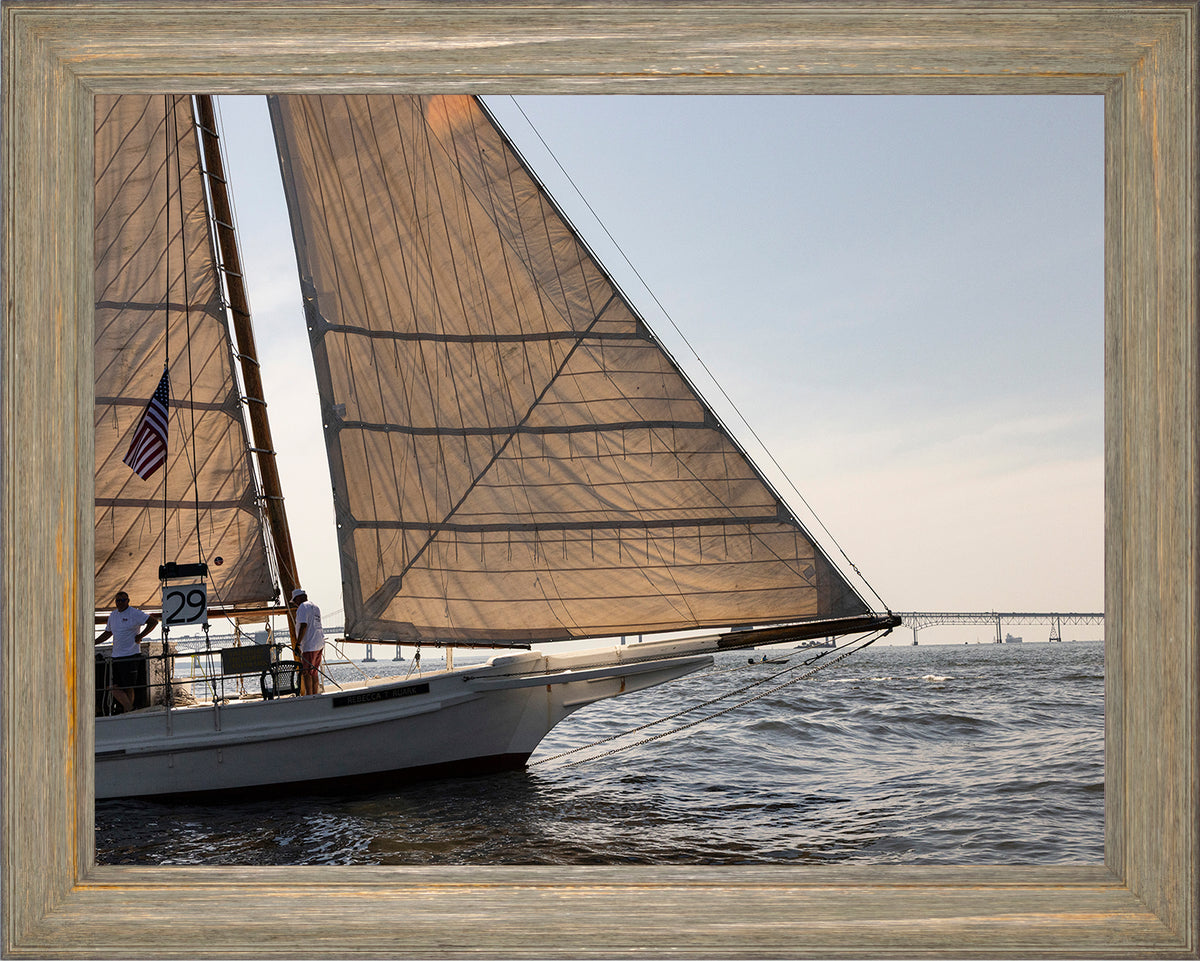 2025 Sandy Point Skipjack Races - The Ruark at the Bridge