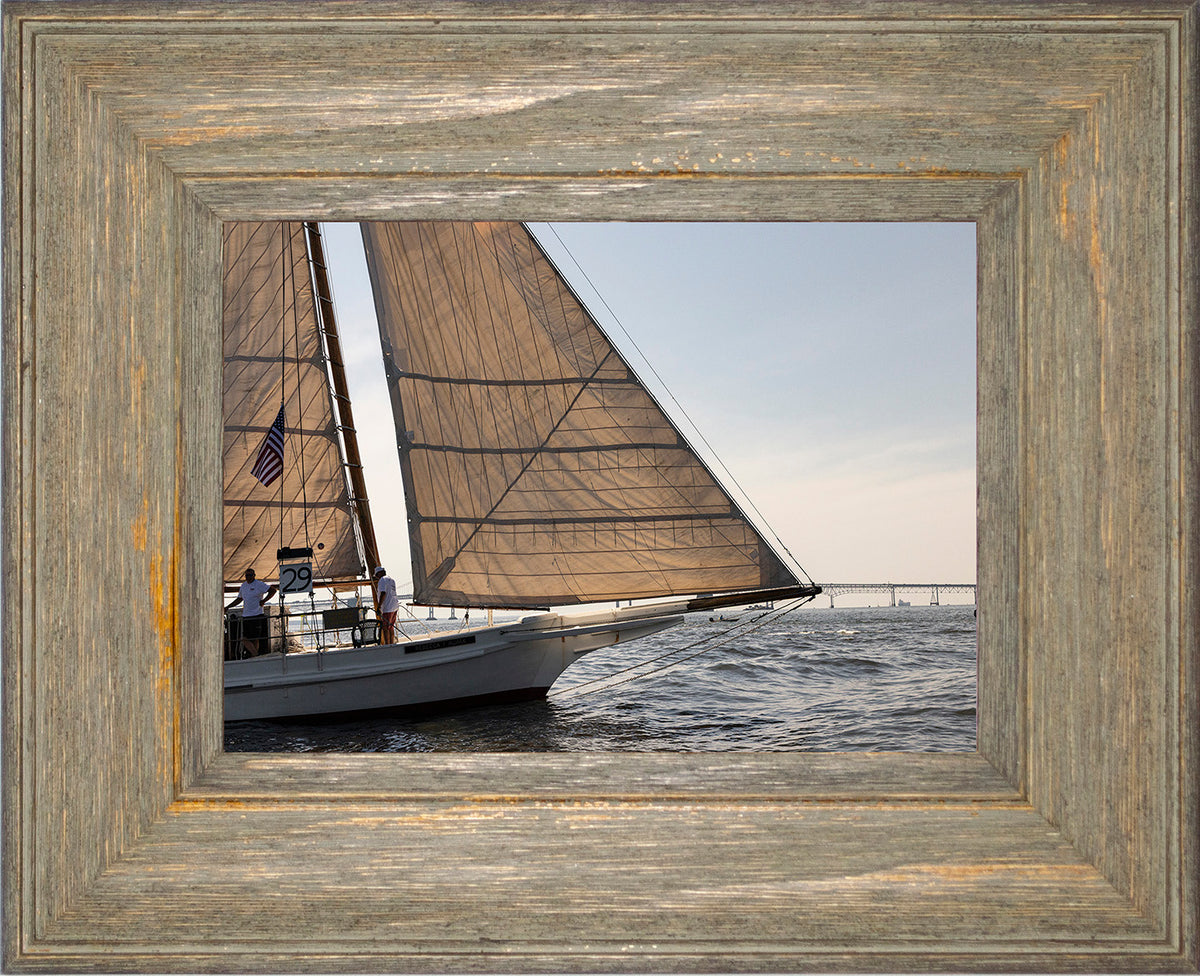 2025 Sandy Point Skipjack Races - The Ruark at the Bridge
