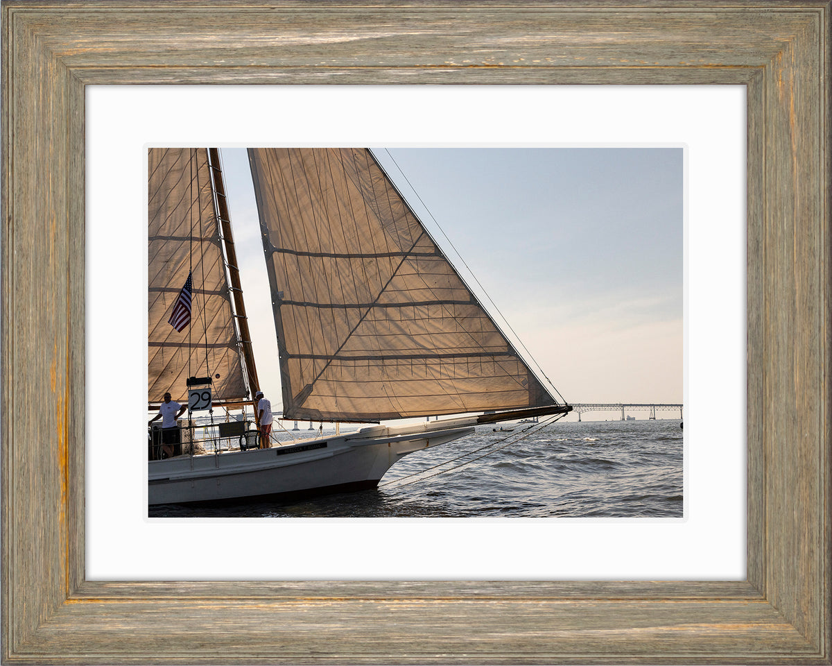 2025 Sandy Point Skipjack Races - The Ruark at the Bridge