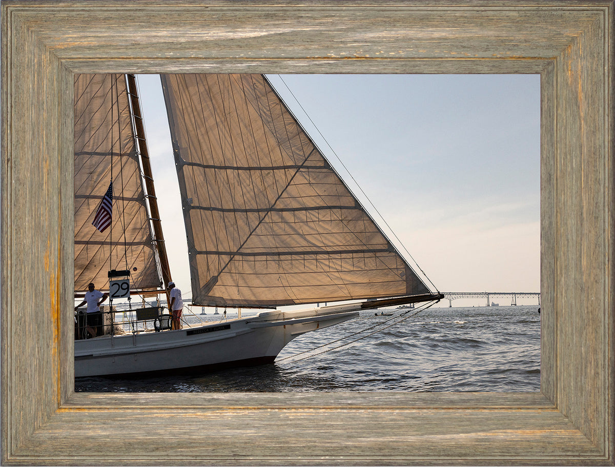 2025 Sandy Point Skipjack Races - The Ruark at the Bridge