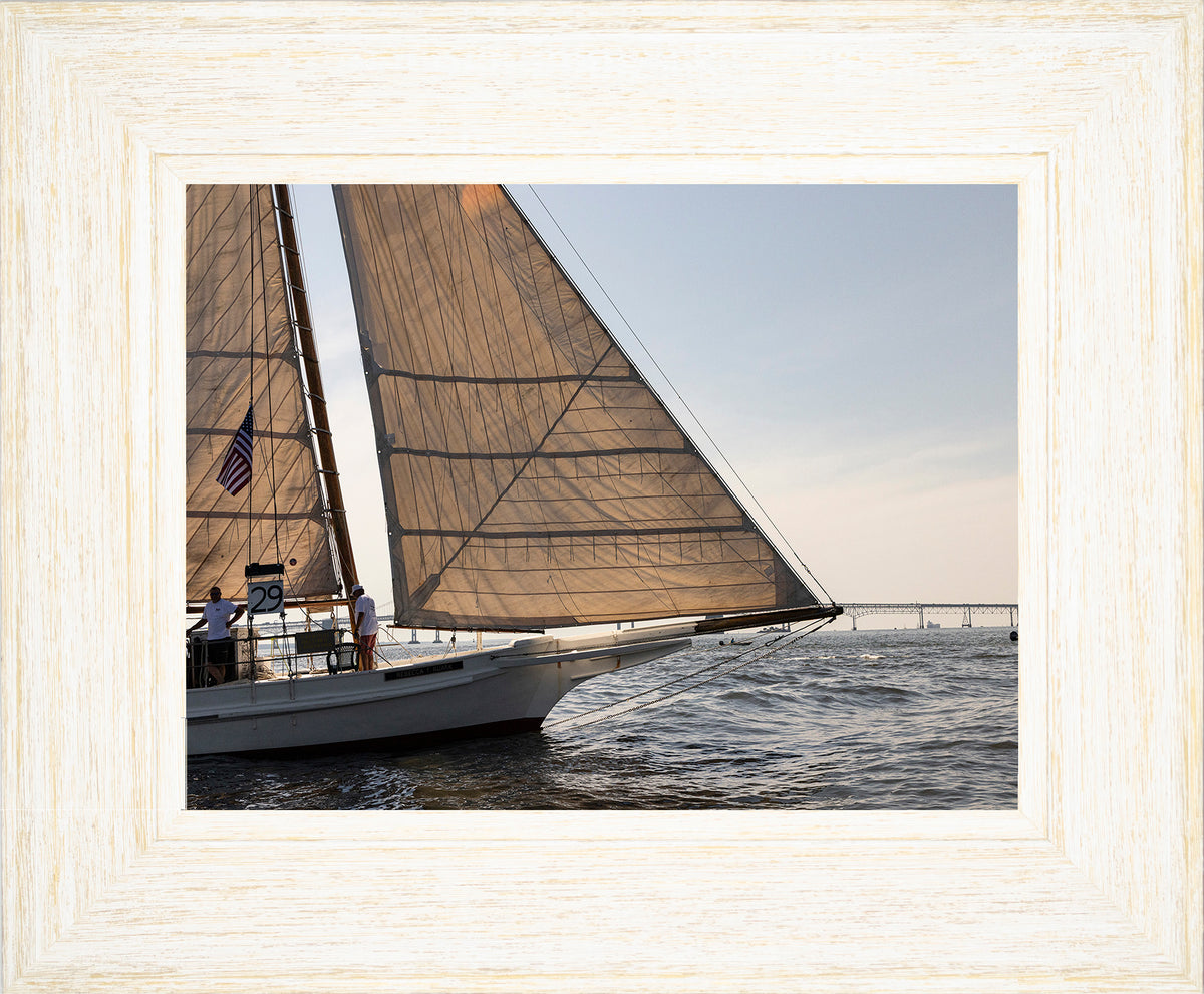 2025 Sandy Point Skipjack Races - The Ruark at the Bridge