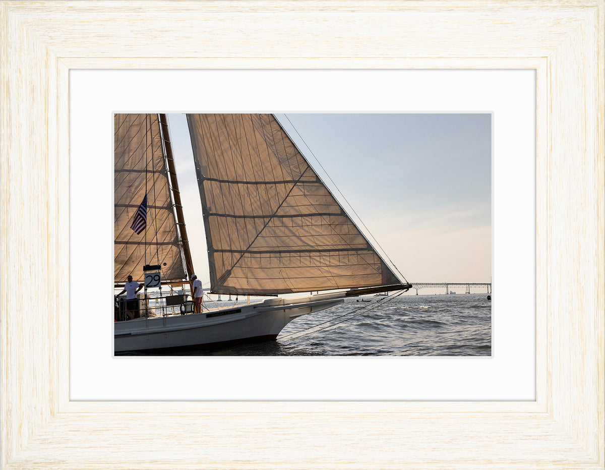 2025 Sandy Point Skipjack Races - The Ruark at the Bridge
