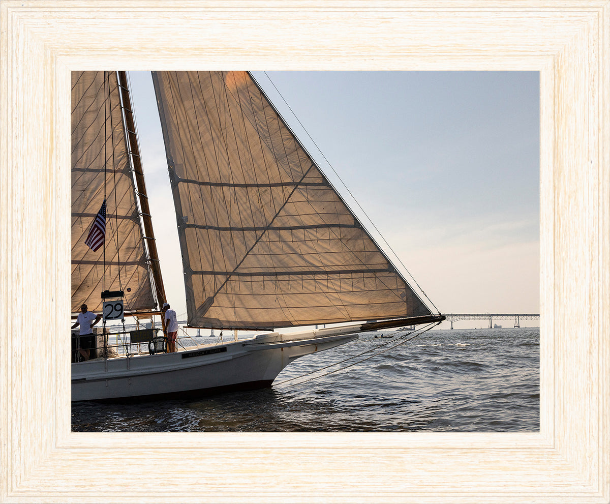 2025 Sandy Point Skipjack Races - The Ruark at the Bridge
