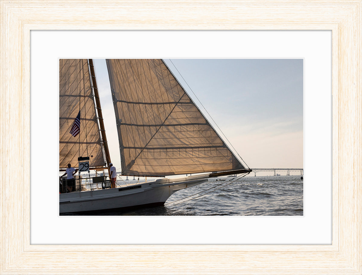 2025 Sandy Point Skipjack Races - The Ruark at the Bridge