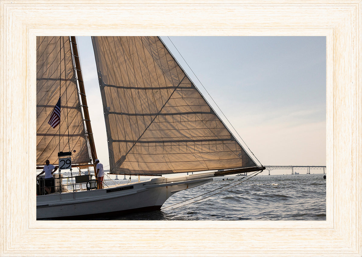 2025 Sandy Point Skipjack Races - The Ruark at the Bridge