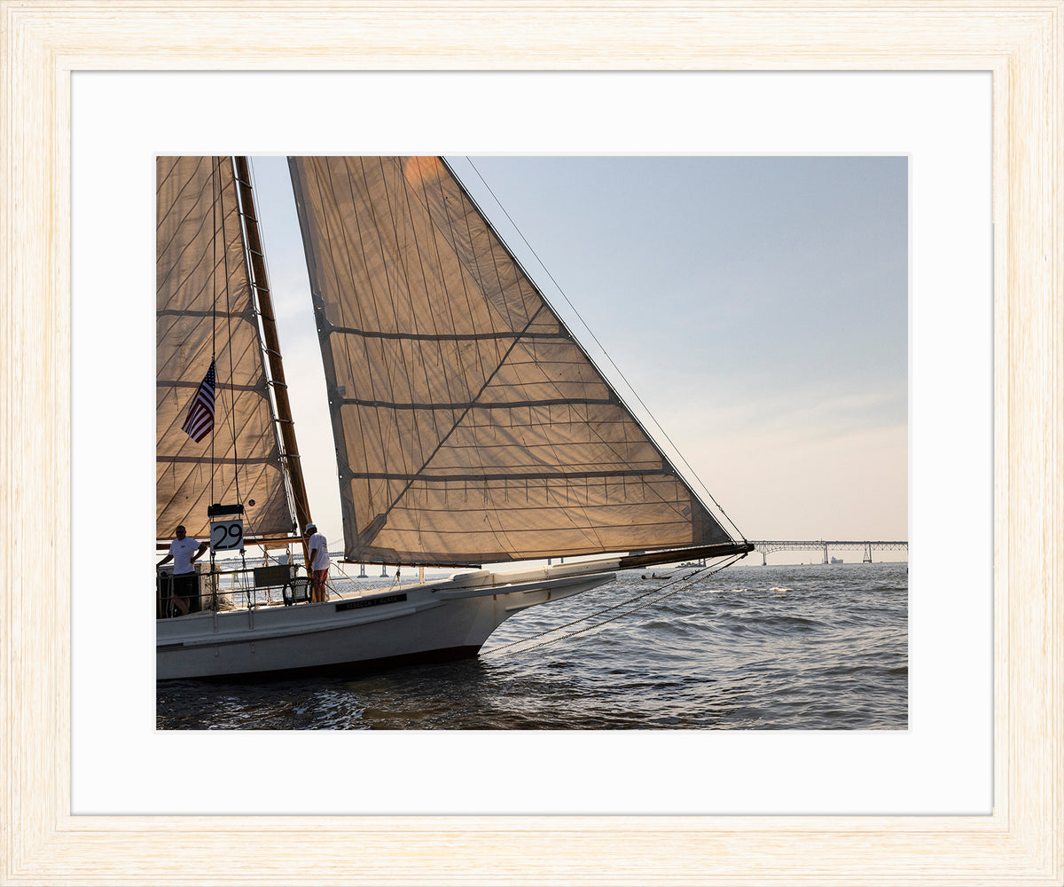 2025 Sandy Point Skipjack Races - The Ruark at the Bridge