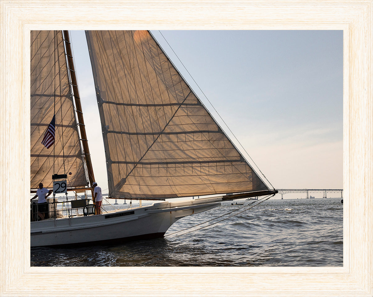 2025 Sandy Point Skipjack Races - The Ruark at the Bridge