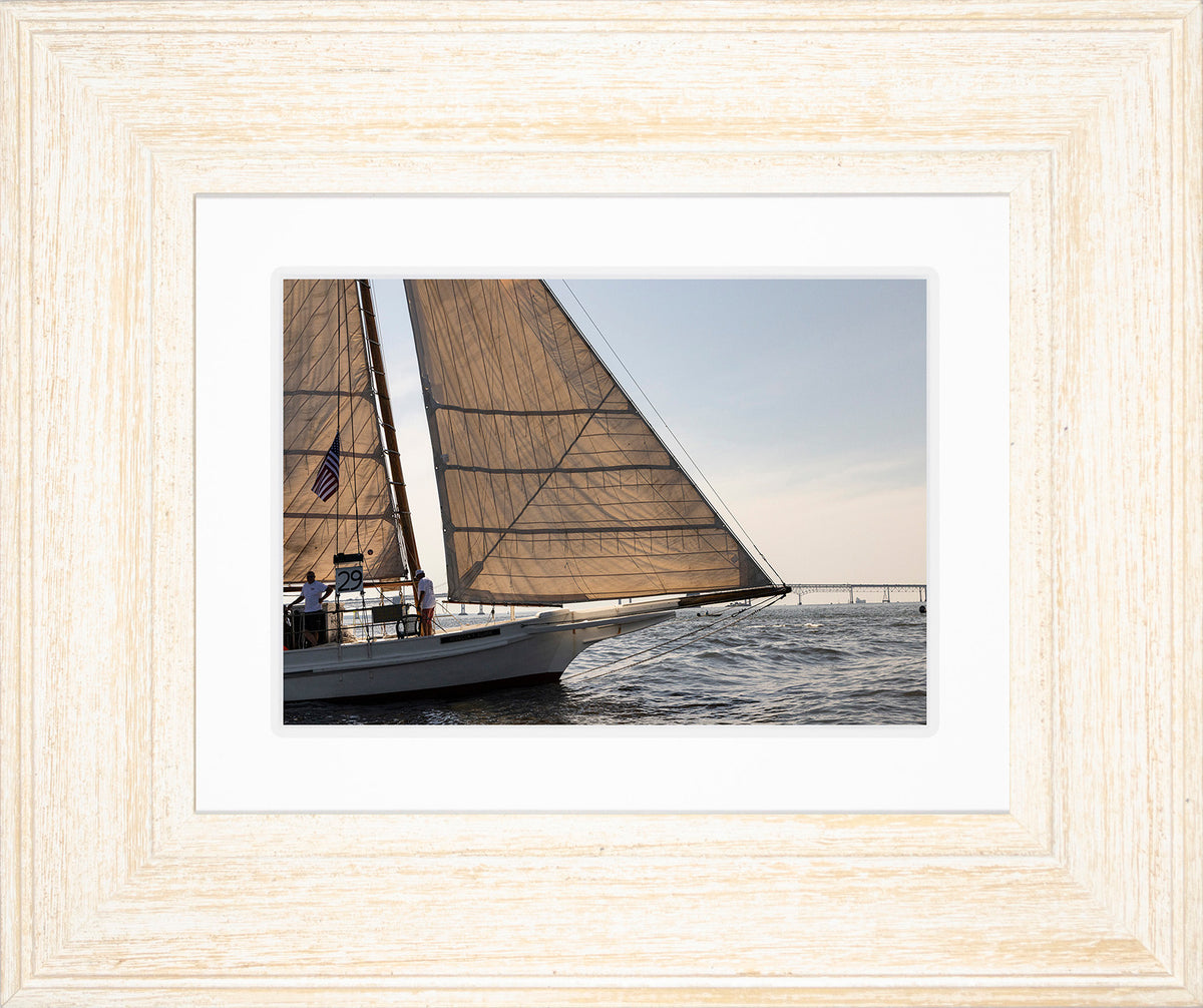 2025 Sandy Point Skipjack Races - The Ruark at the Bridge