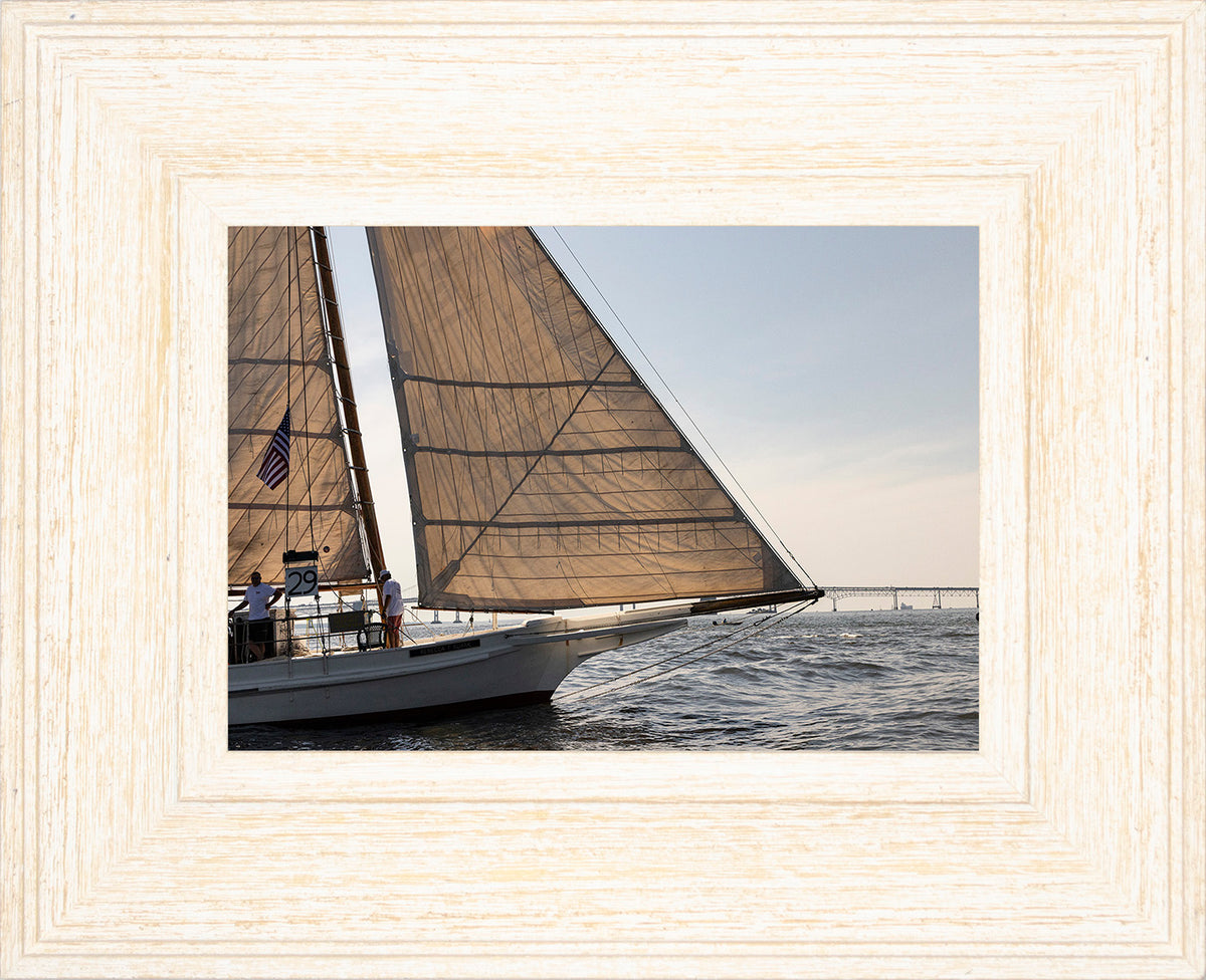 2025 Sandy Point Skipjack Races - The Ruark at the Bridge
