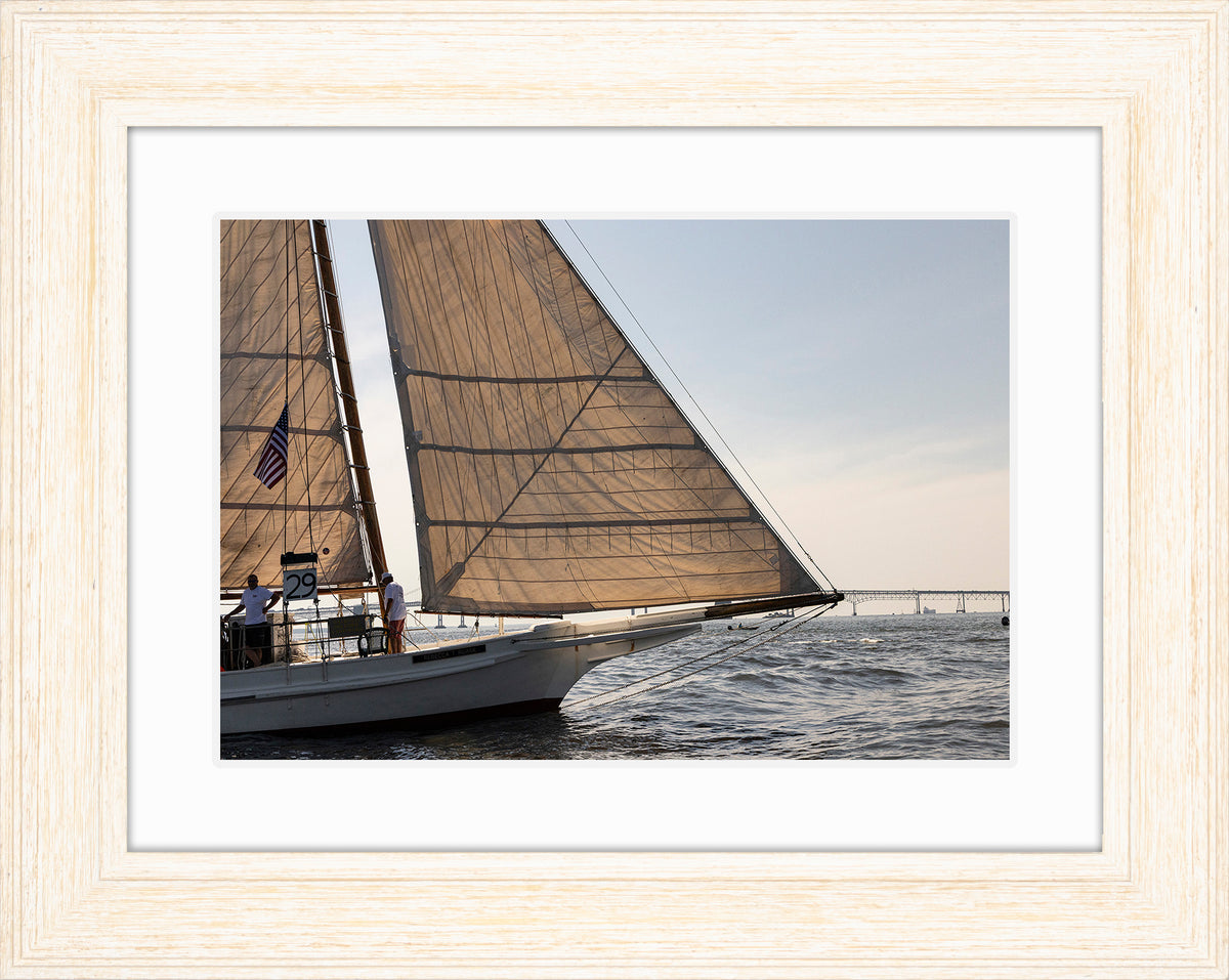 2025 Sandy Point Skipjack Races - The Ruark at the Bridge