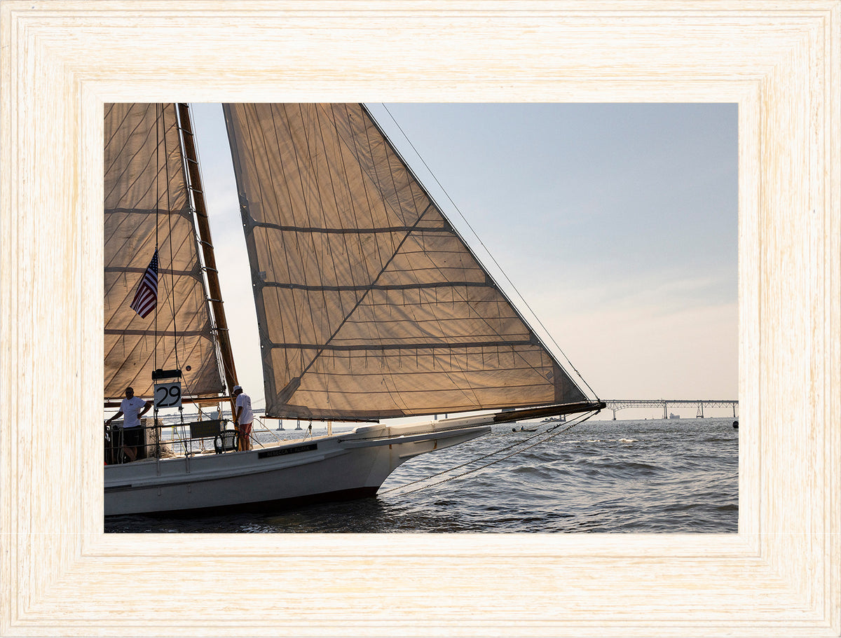 2025 Sandy Point Skipjack Races - The Ruark at the Bridge