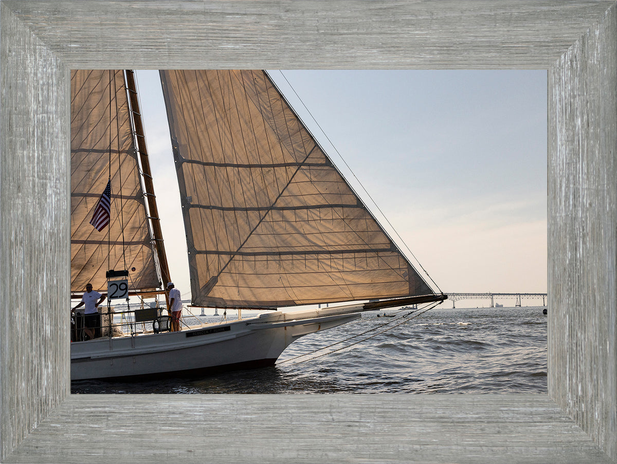 2025 Sandy Point Skipjack Races - The Ruark at the Bridge