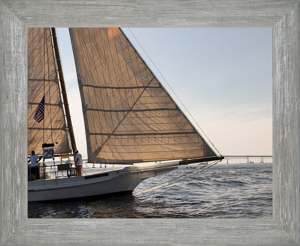 2025 Sandy Point Skipjack Races - The Ruark at the Bridge
