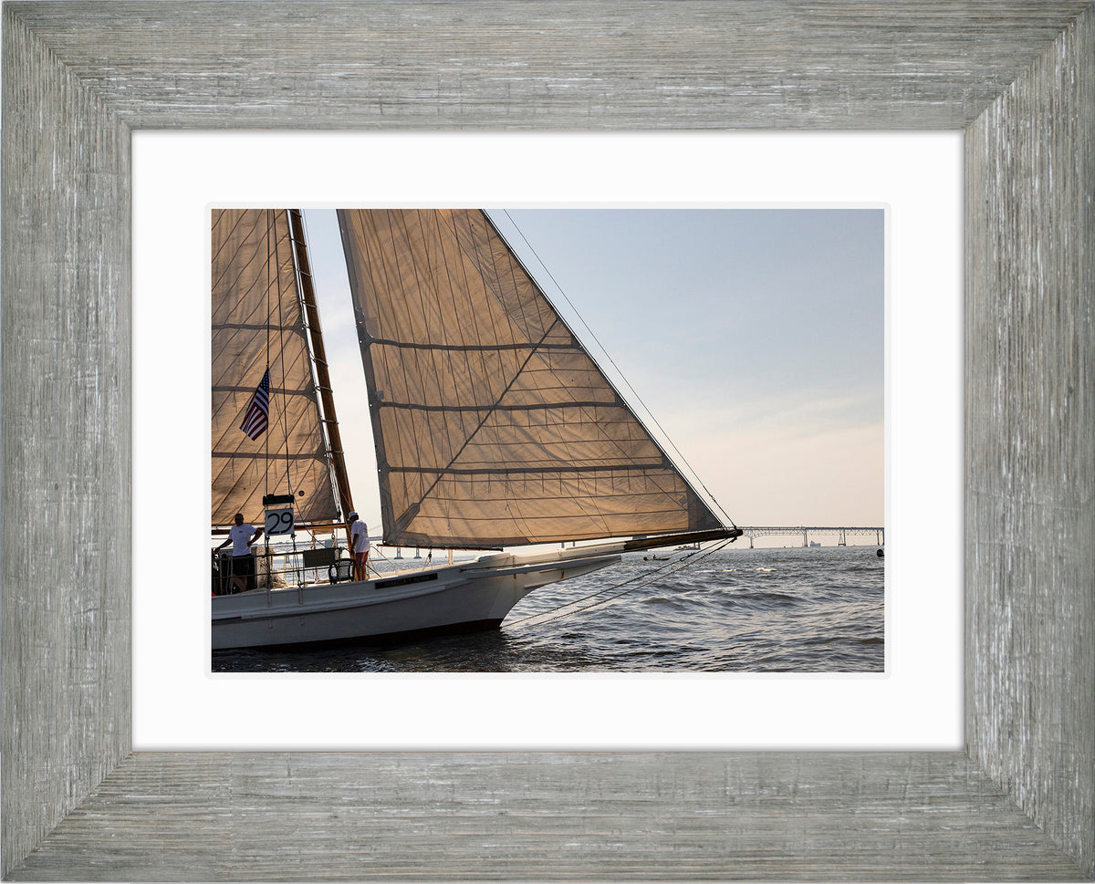 2025 Sandy Point Skipjack Races - The Ruark at the Bridge