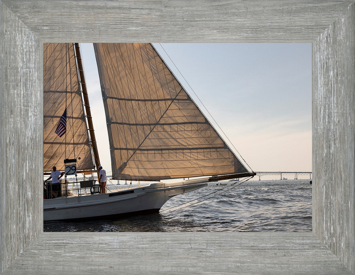 2025 Sandy Point Skipjack Races - The Ruark at the Bridge