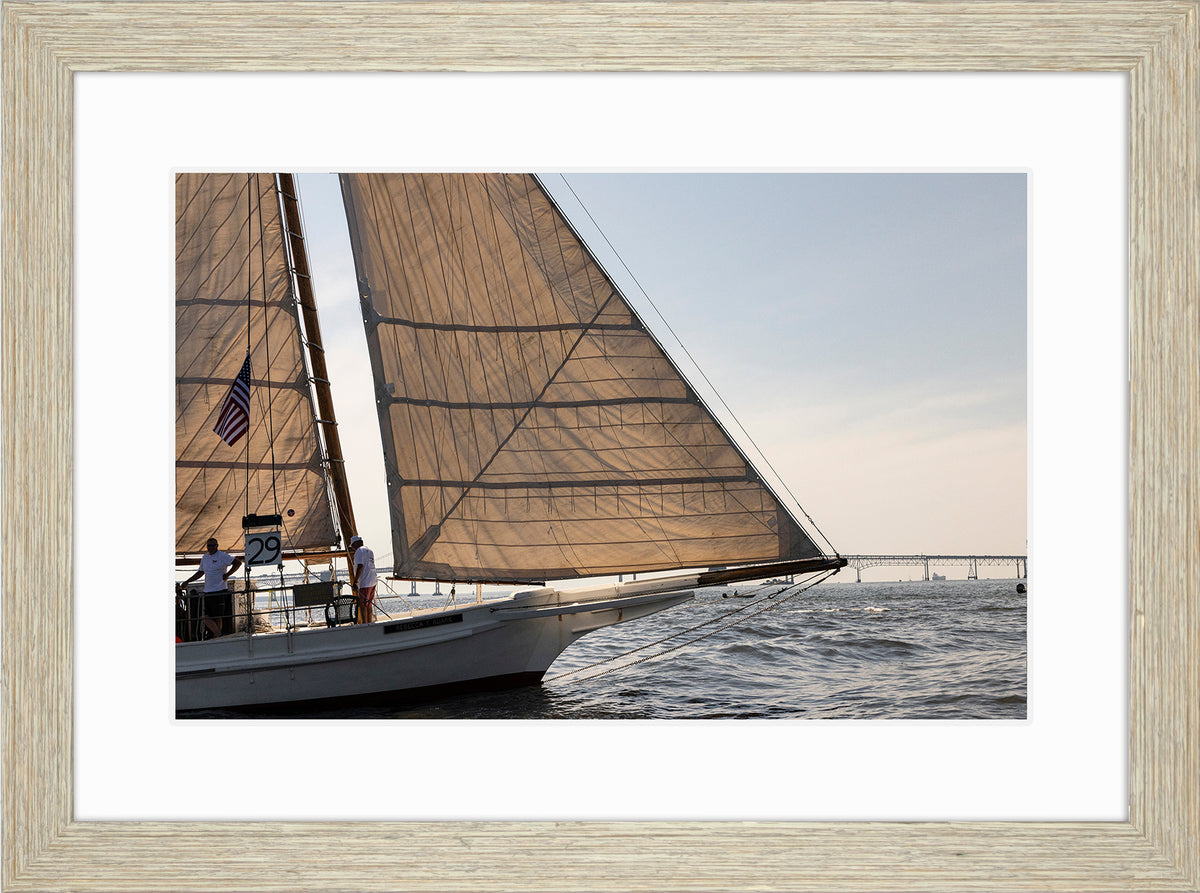 2025 Sandy Point Skipjack Races - The Ruark at the Bridge