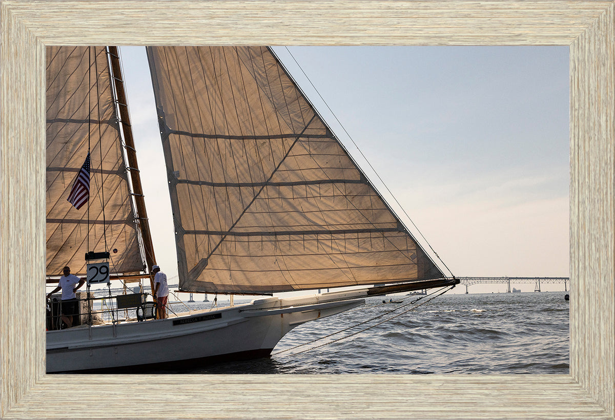 2025 Sandy Point Skipjack Races - The Ruark at the Bridge