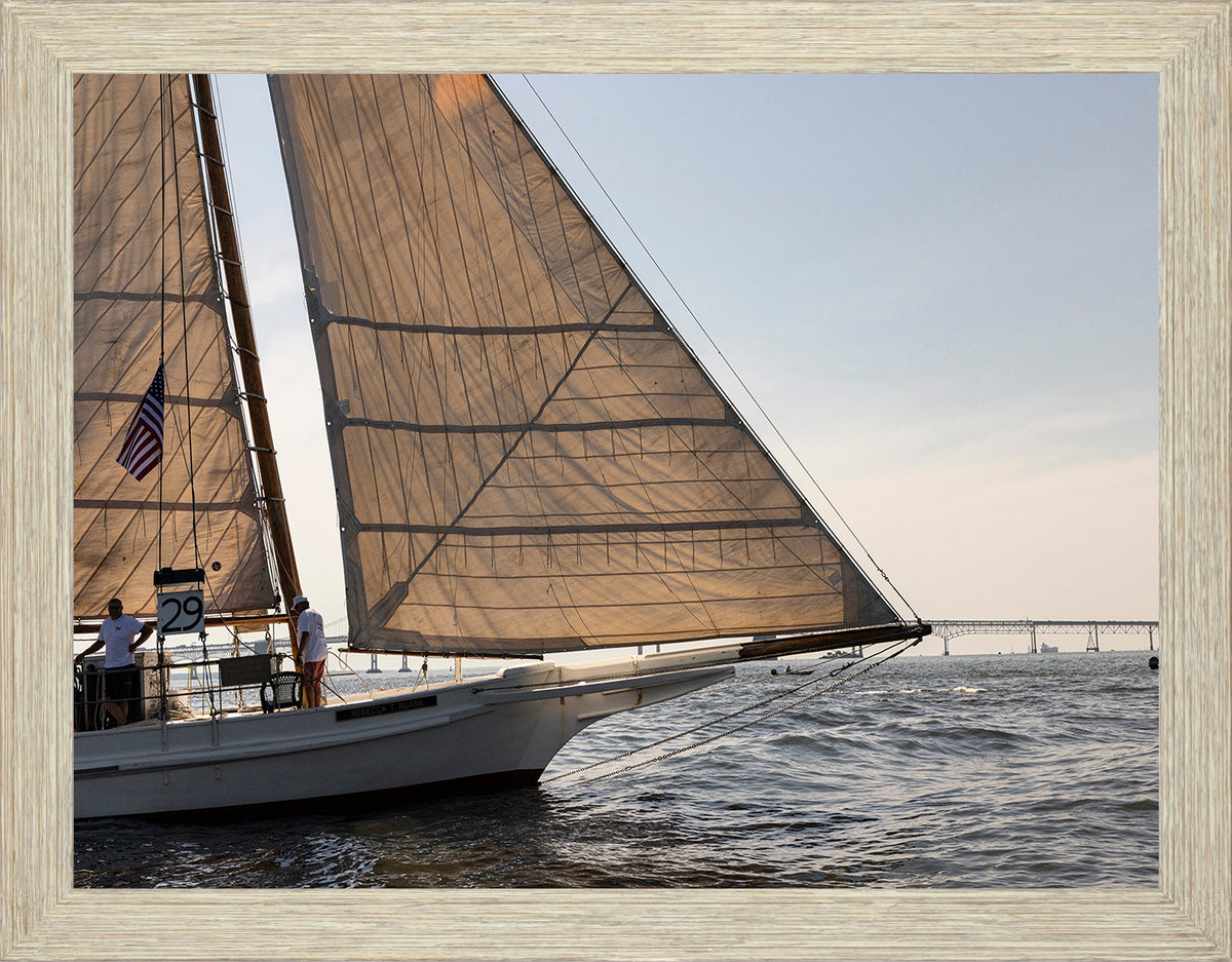 2025 Sandy Point Skipjack Races - The Ruark at the Bridge
