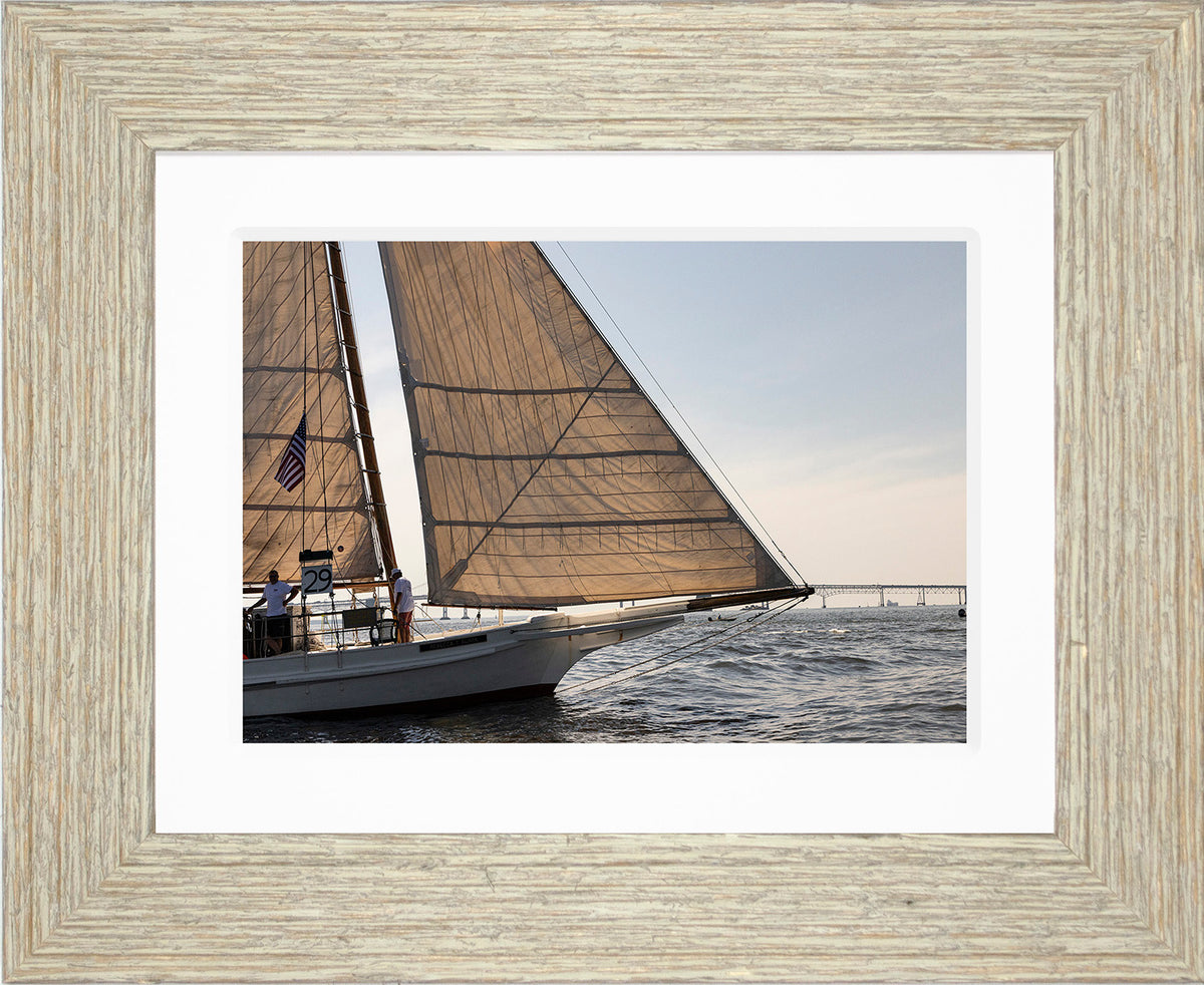 2025 Sandy Point Skipjack Races - The Ruark at the Bridge