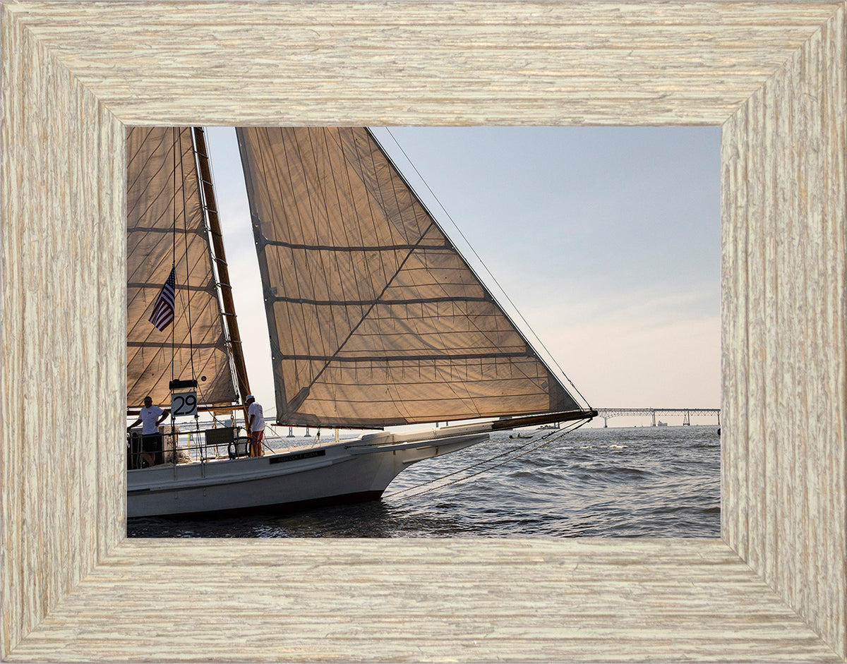2025 Sandy Point Skipjack Races - The Ruark at the Bridge