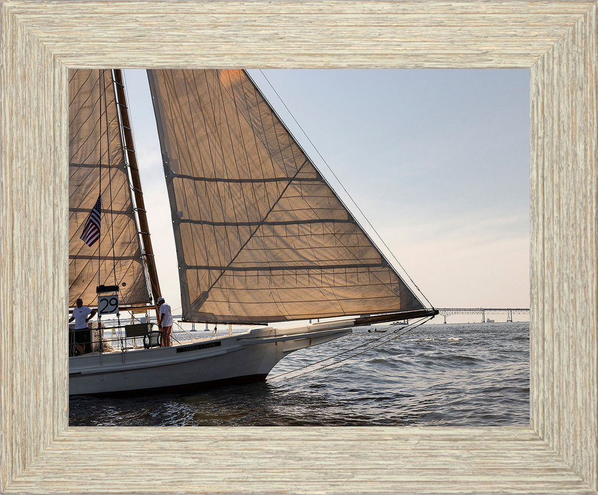 2025 Sandy Point Skipjack Races - The Ruark at the Bridge