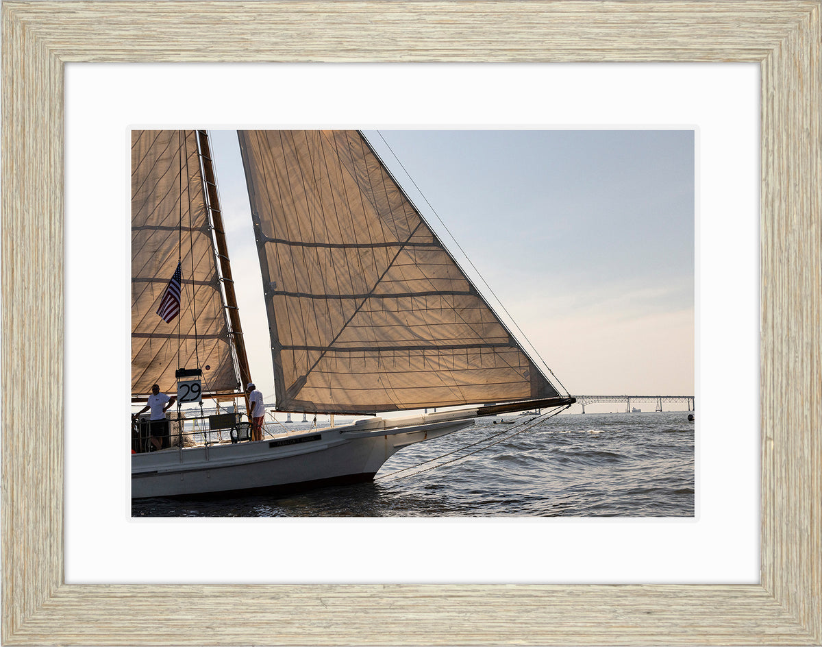 2025 Sandy Point Skipjack Races - The Ruark at the Bridge