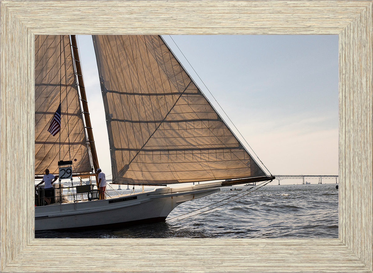 2025 Sandy Point Skipjack Races - The Ruark at the Bridge