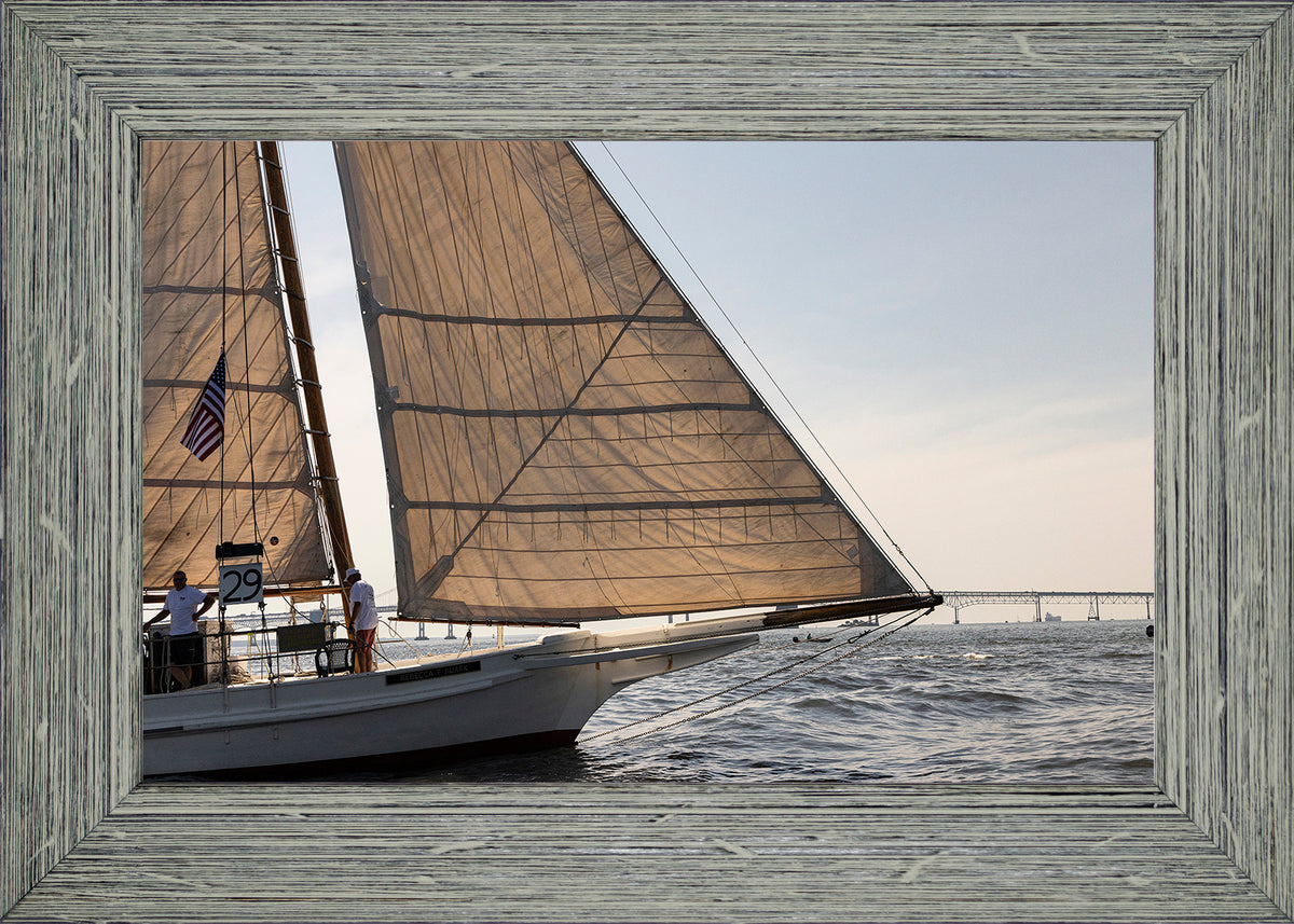 2025 Sandy Point Skipjack Races - The Ruark at the Bridge