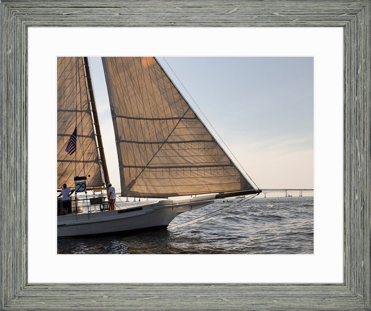2025 Sandy Point Skipjack Races - The Ruark at the Bridge